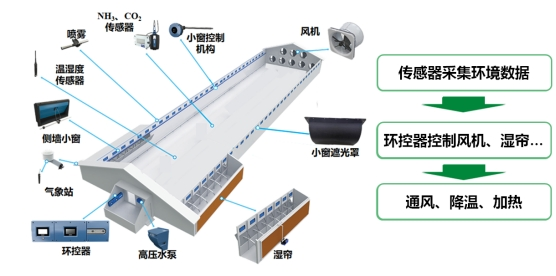 图片9